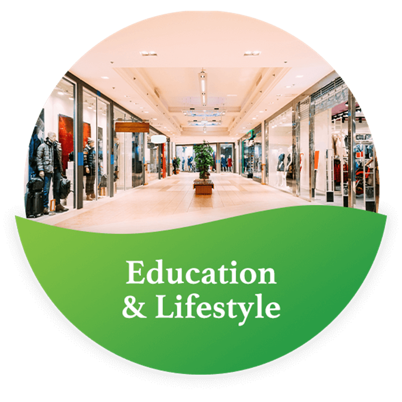 Education & Lifestyle
